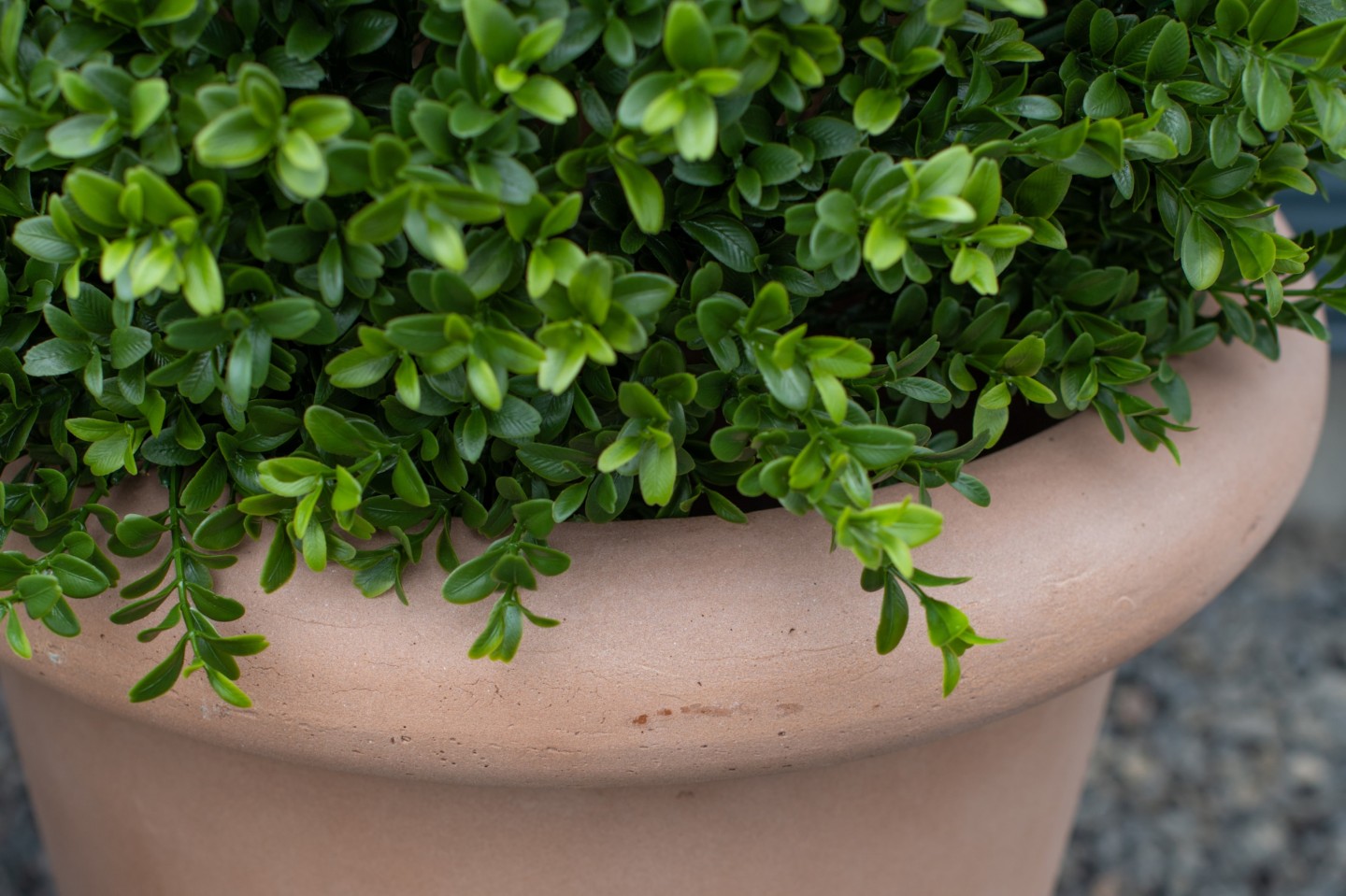 a close up of a plant pot withan artificial topiary bush planted in it